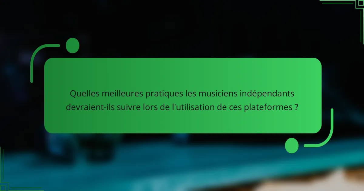 Quelles meilleures pratiques les musiciens indépendants devraient-ils suivre lors de l'utilisation de ces plateformes ?